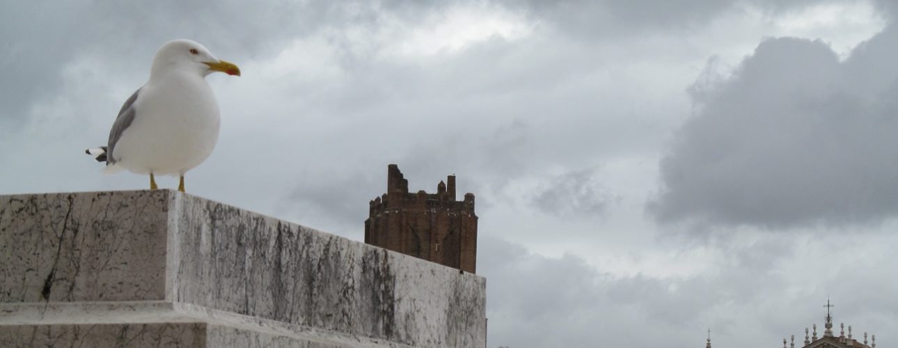 Roma