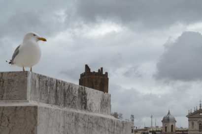 Roma