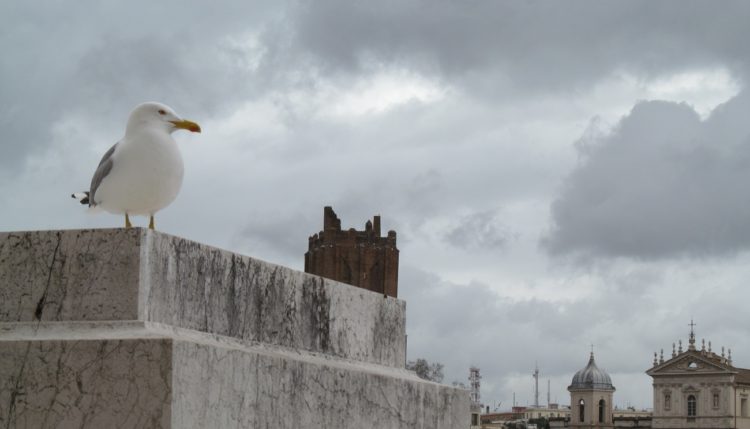 Roma