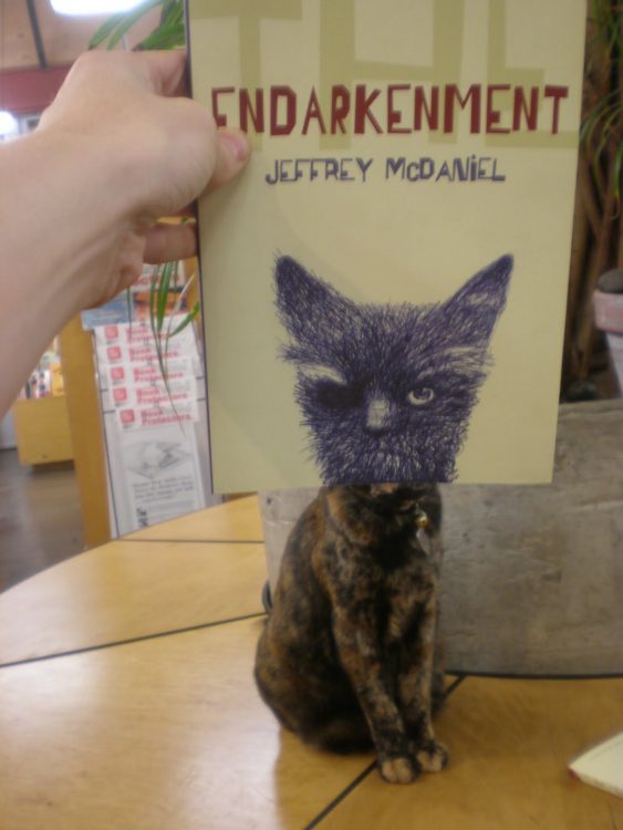 Endarkenment