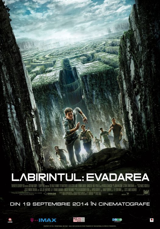 Labirintul