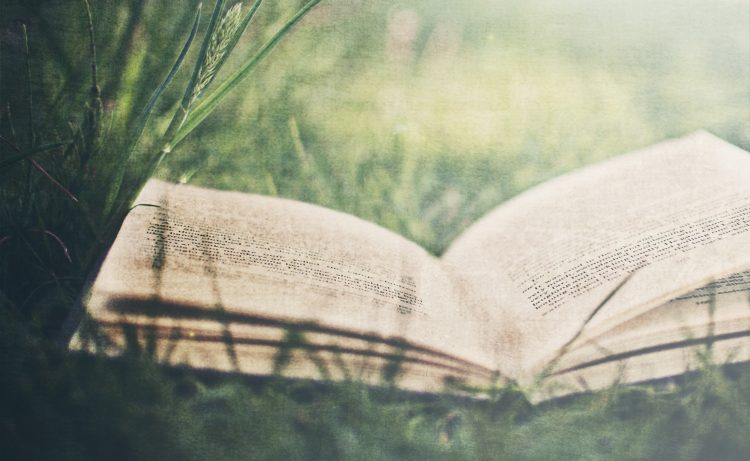 literatura