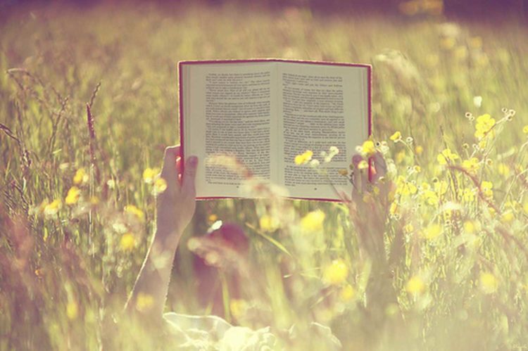 summer reading