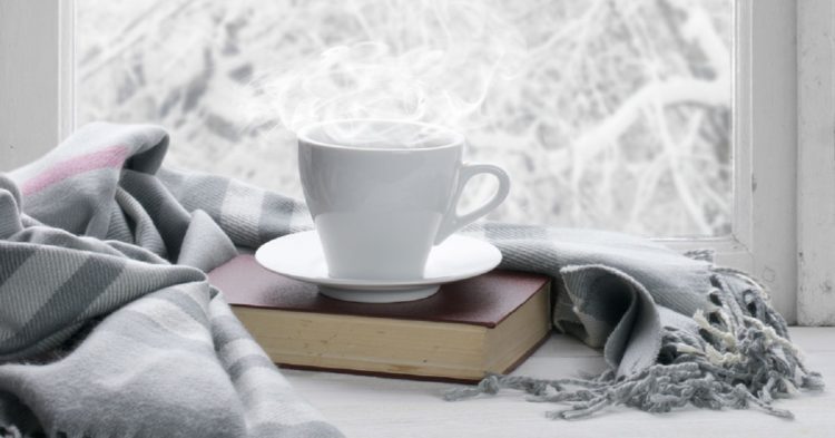 January reads