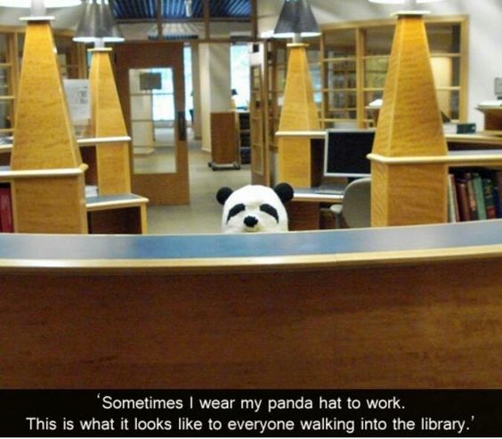 Palarie panda