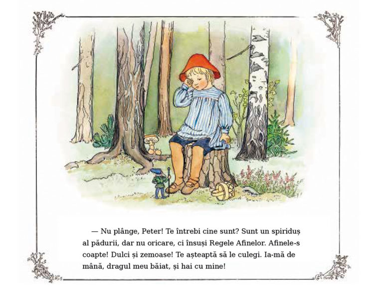 Aventurile lui Peter in Tara Afinelor - detaliu 1