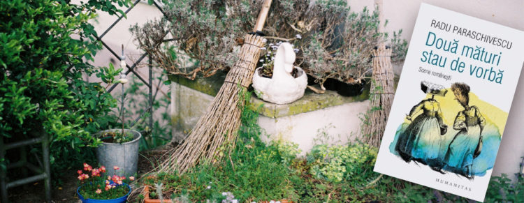 Doua maturi stau de vorba - cover
