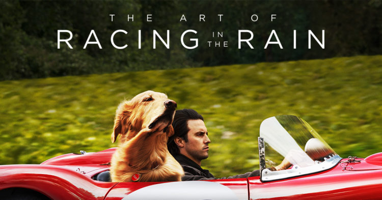 The-Art-of-Racing-in-the-Rain