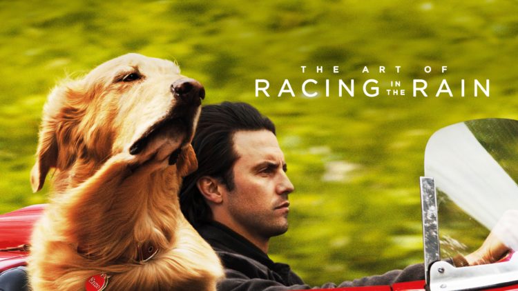 art of racing in the rain