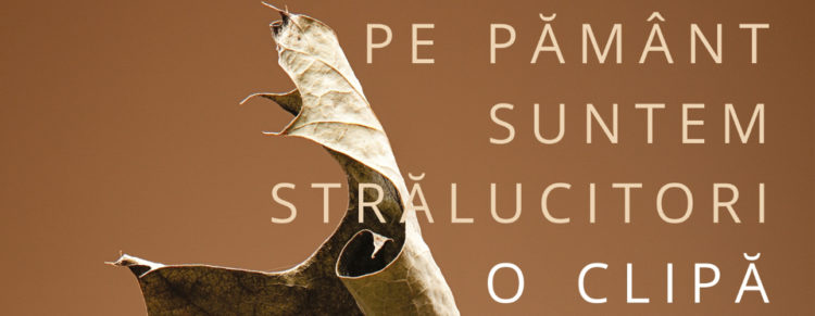 Storia Plus