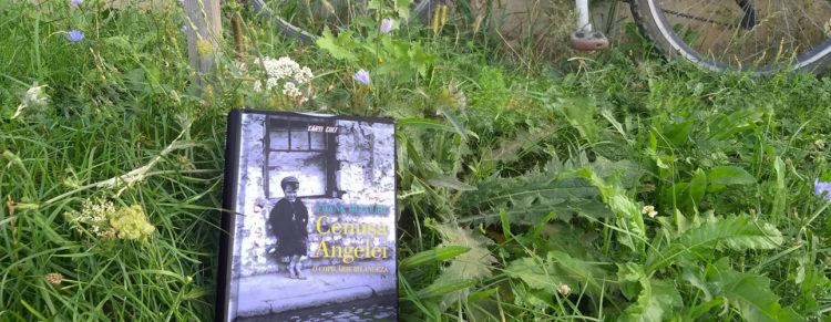 Cenușa Angelei cover