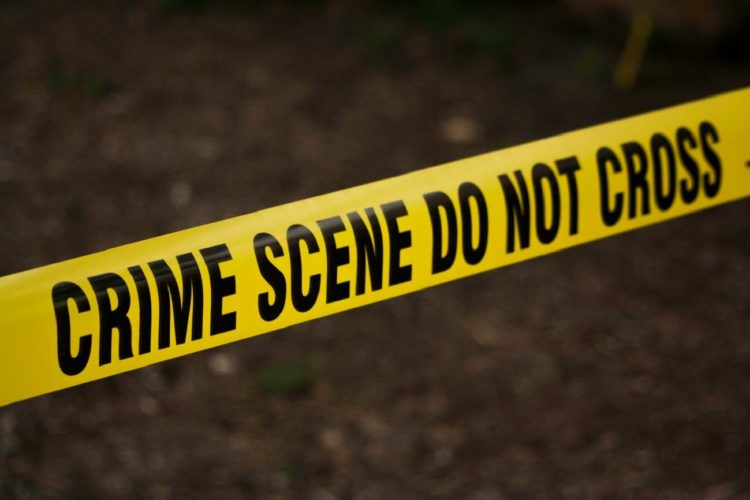 Crime fiction