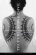 Trupuri subversive: O istorie secretă a femeilor şi tatuajelor