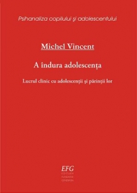 A indura adolescenta. lucrul clinic cu adolescentii si parintii lor de Michel Vincent