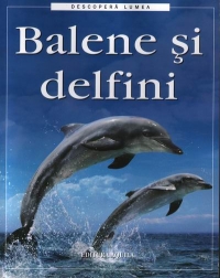 Balene si delfini de Susanna Davidson