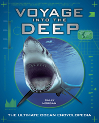 Voyage into the deep de Sally Morgan